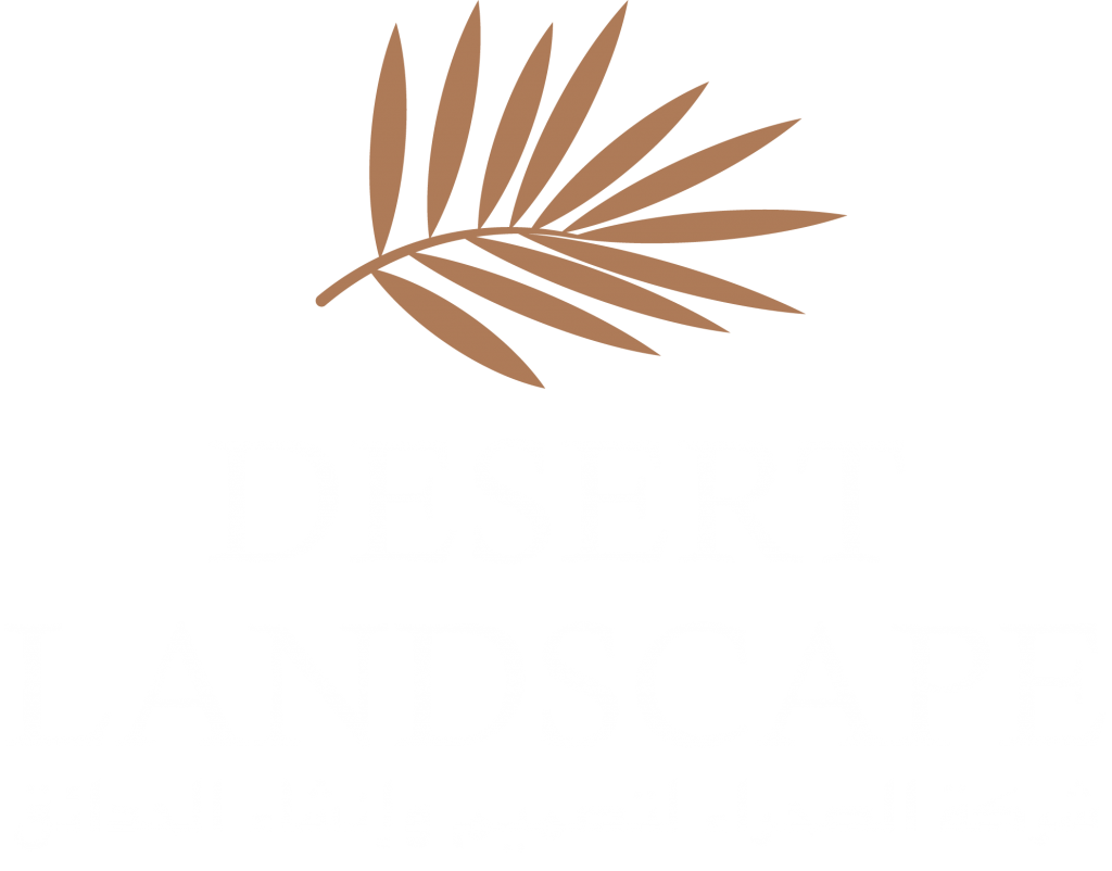 Desert Land Scape